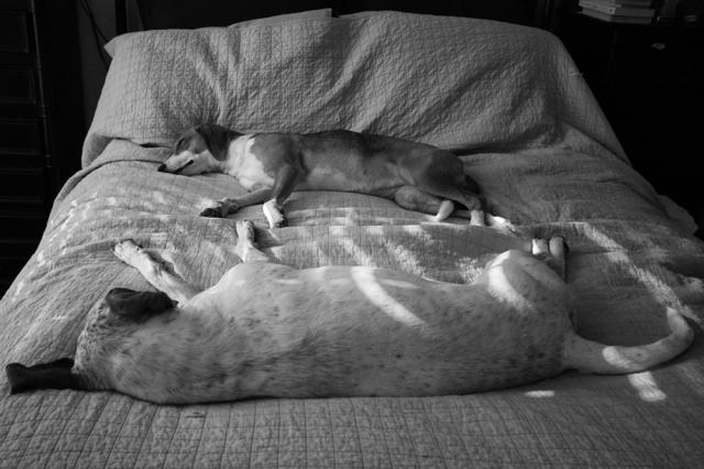 IMG_0511_bw_print_sm.jpg