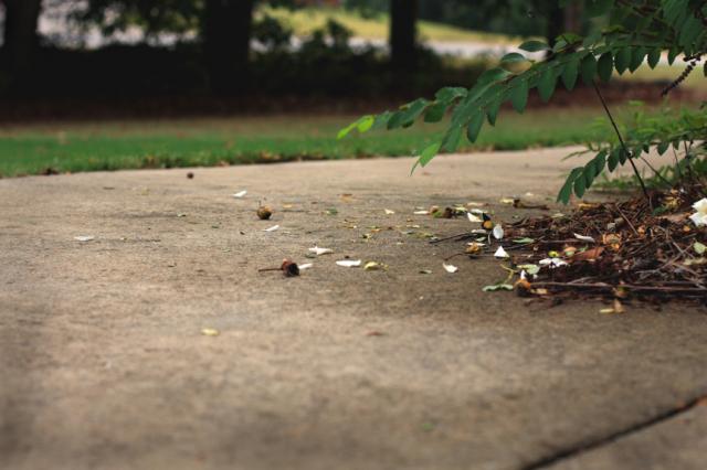 sm_sidewalk.jpg